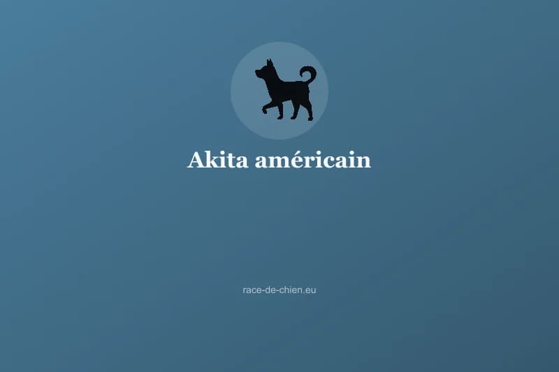 Akita américain — illustration