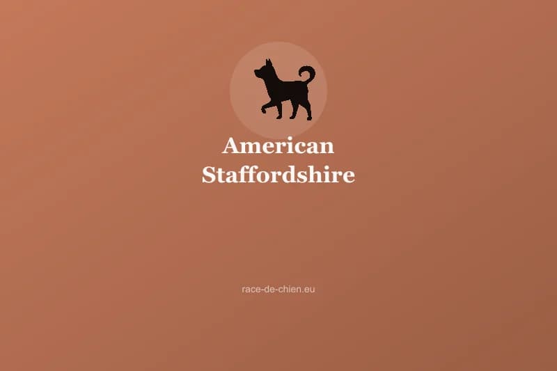 American Staffordshire Terrier — illustration