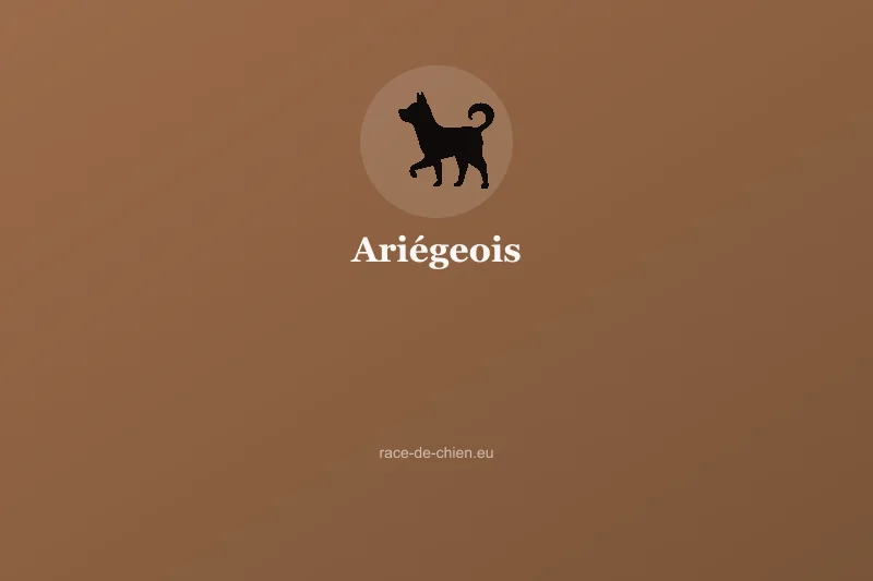 Ariégeois — illustration