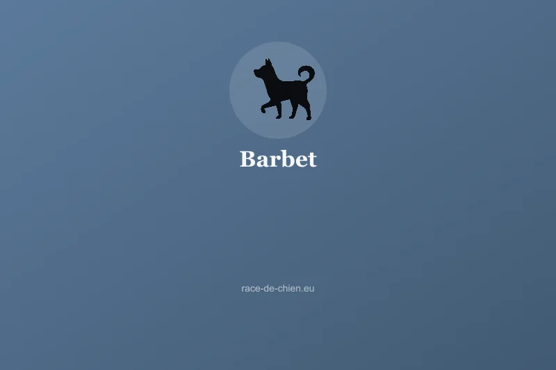 Barbet — illustration