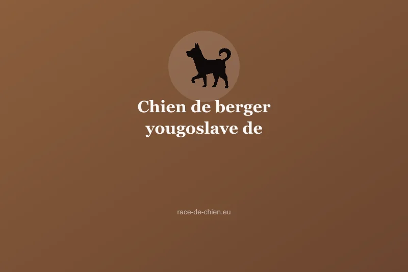 Chien de berger yougoslave de Charplanina — illustration