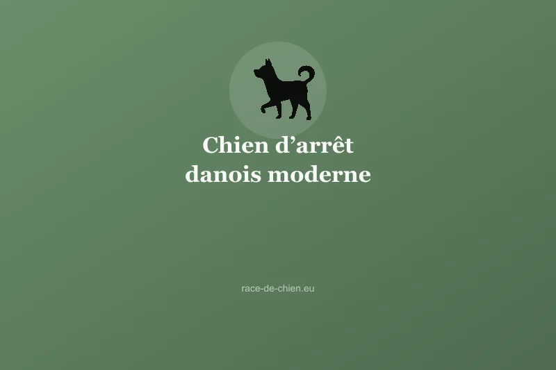 Chien d’arrêt danois moderne — illustration