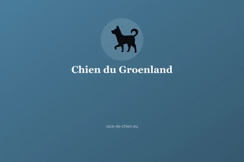 Chien du Groenland — illustration