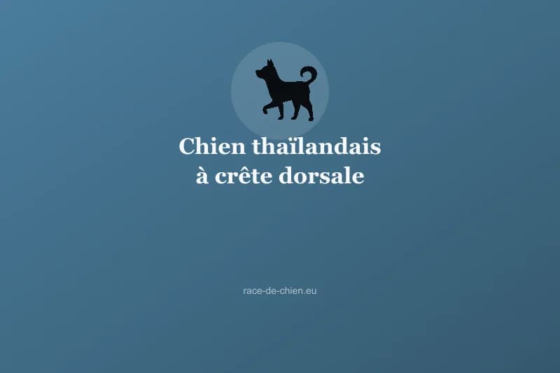 Chien thaïlandais à crête dorsale — illustration