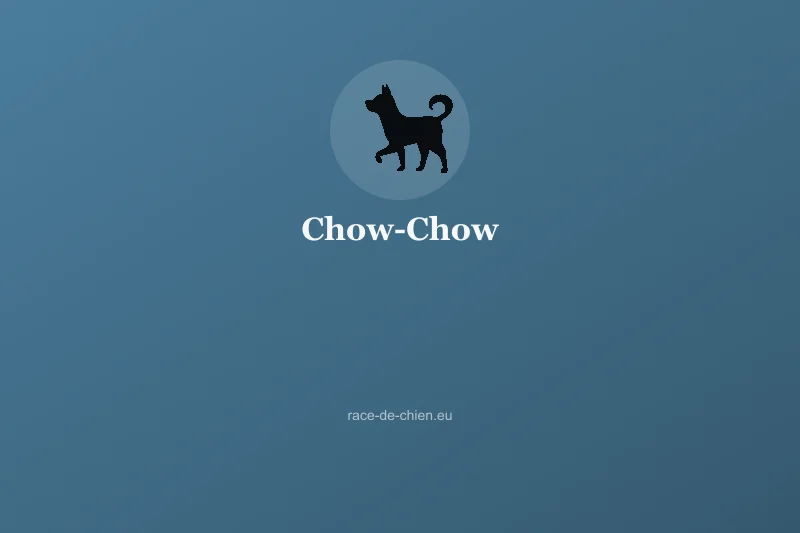 Chow-Chow — illustration