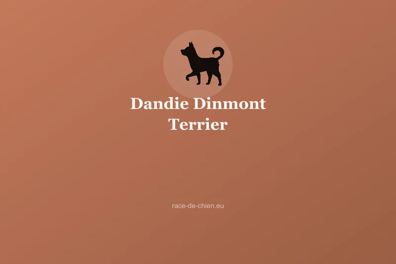 Dandie Dinmont Terrier — illustration