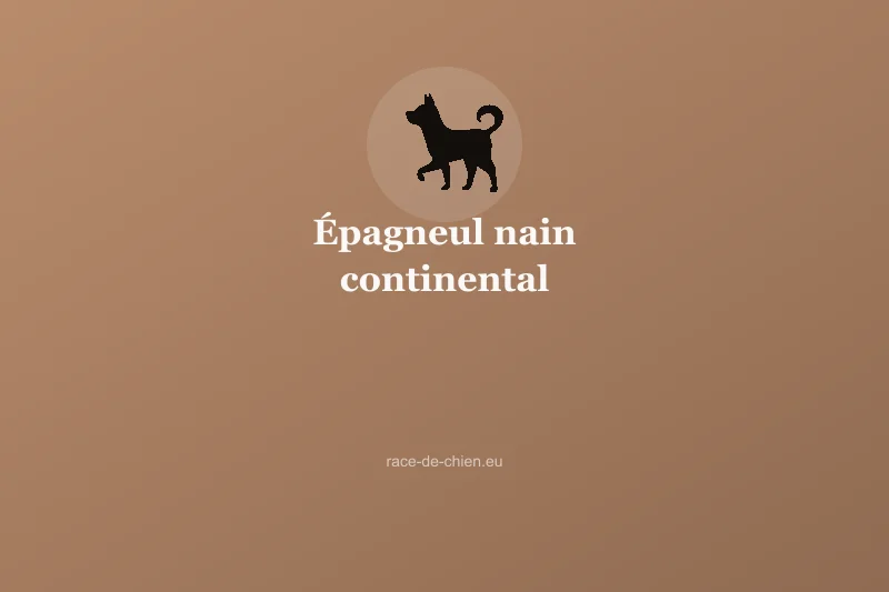 Épagneul nain continental Phalène — illustration