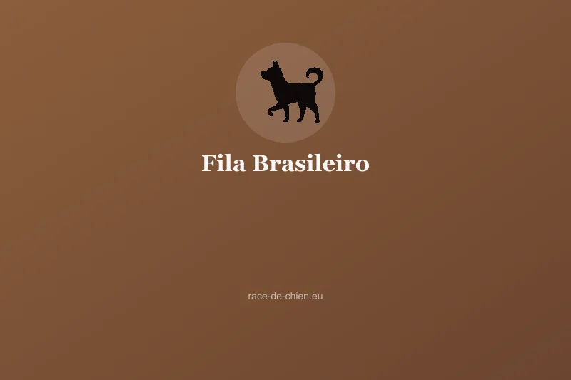 Fila Brasileiro — illustration