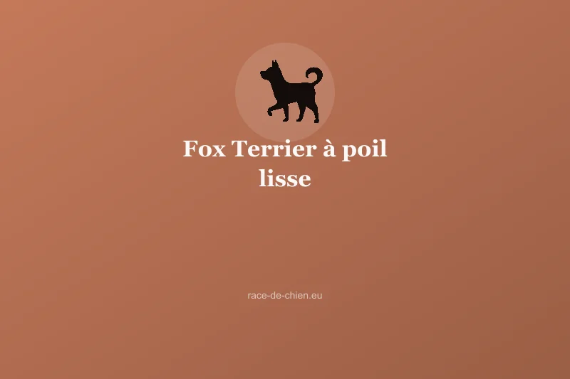 Fox Terrier à poil lisse — illustration
