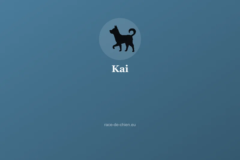 Kai — illustration