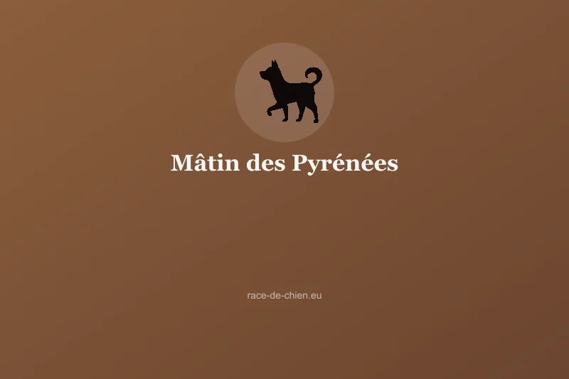 Mâtin des Pyrénées — illustration