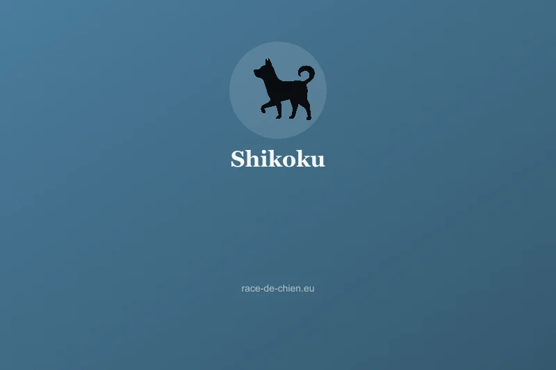 Shikoku — illustration